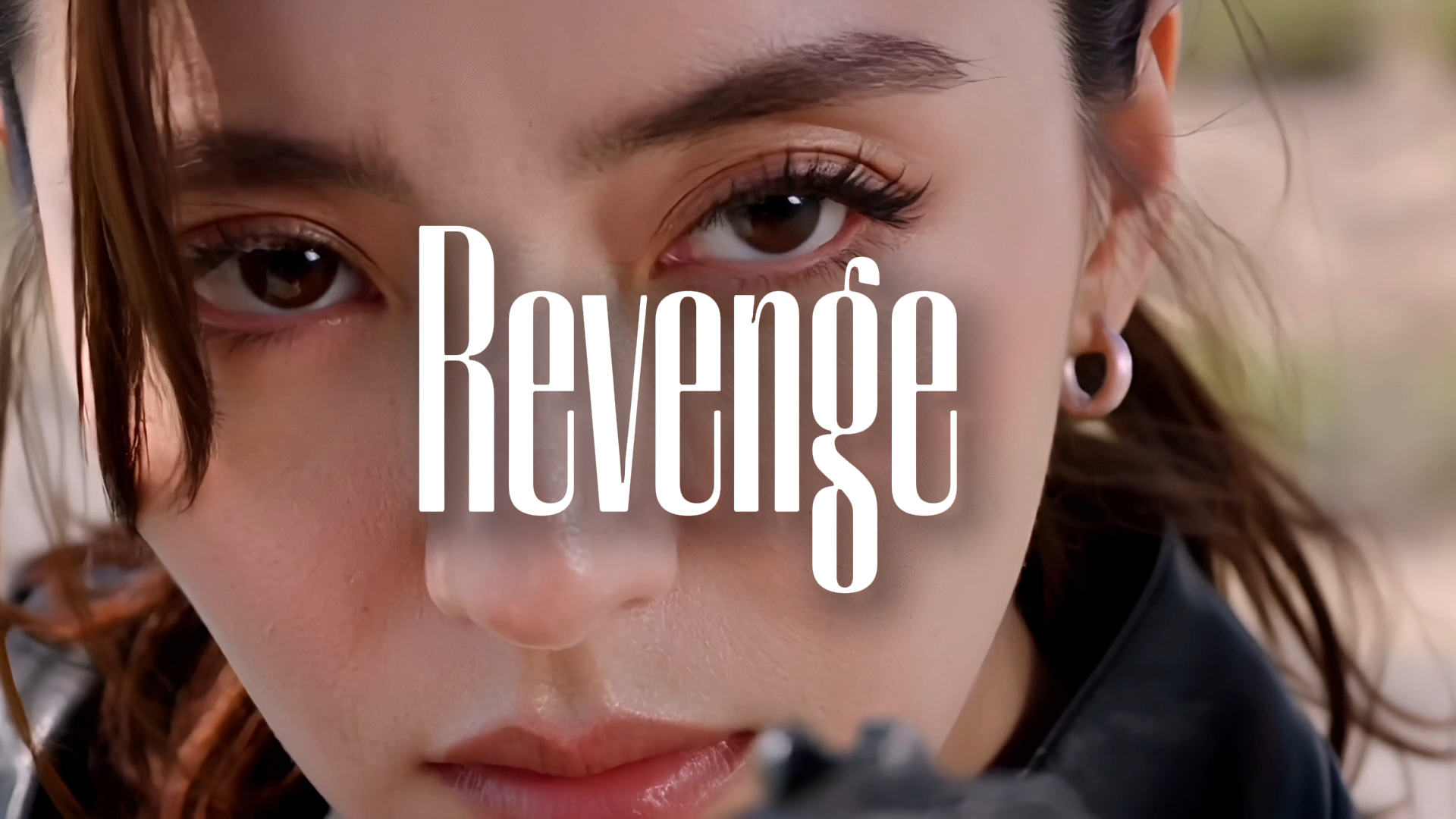 Assasin's Revenge poster