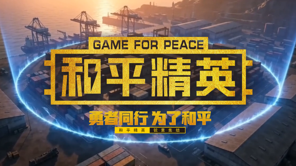 PUBG Series poster